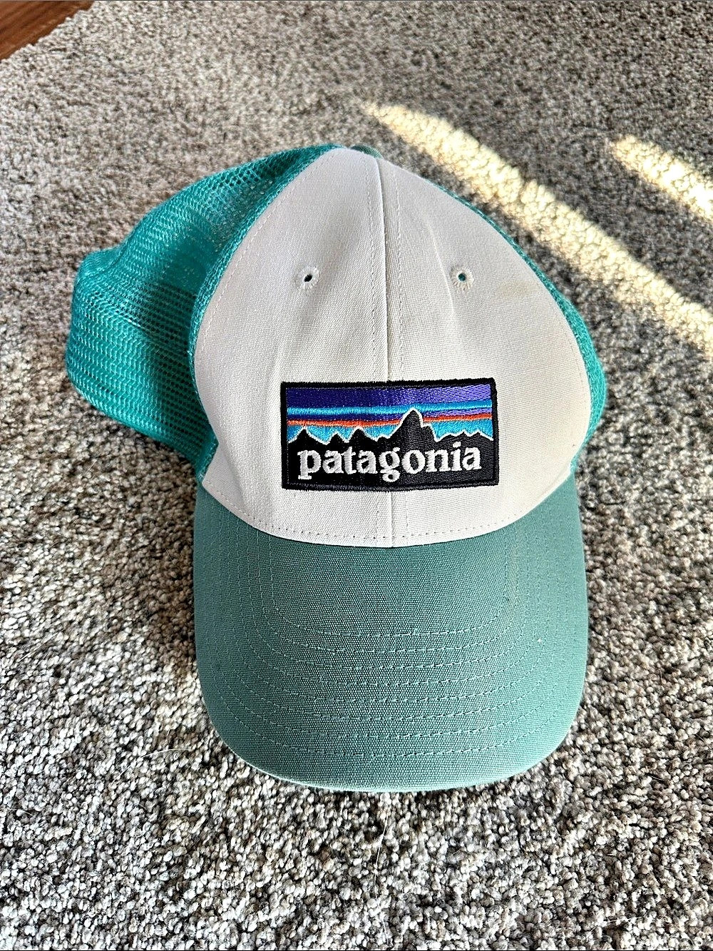 Patagonia Hat Logo in Aqua & White